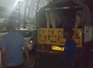 तस्करी 